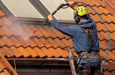 Démoussage et hydrofuge de toiture à Bouin